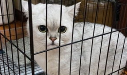 澡逼视频,揭秘浴室里的趣味瞬间